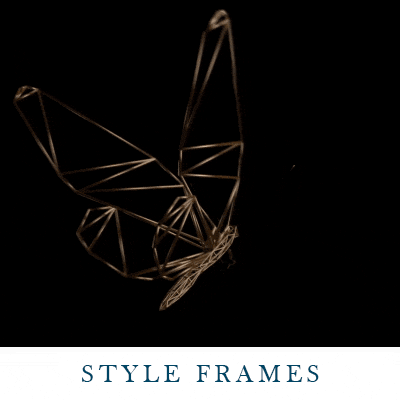Cinema 4D Artist – Styleframes