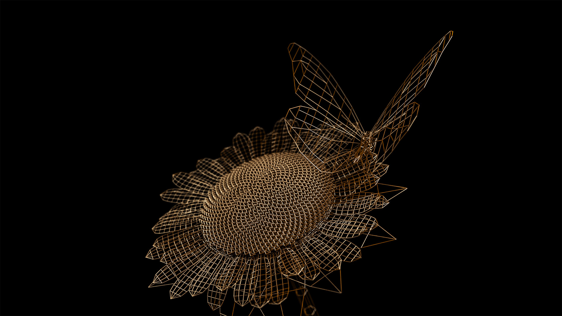 Cinema 4D Artist Adam Wilkes created a 3D golden sunflower and butterfly wireframe for Style frames project